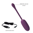 Applikációs vibrációs tojás Pretty Love Casper Purple
