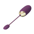 Applikációs vibrátoros tojás Pretty Love Abner purple