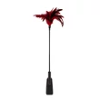 Fekete és piros tollas cirógató és paskoló GP Feather Crop Black Red