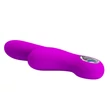 Csiklókaros g-pont vibrátor Pretty Love Carol Purple 2
