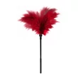 Toll cirógató Gp small feather tickler red. - vörös 20 cm