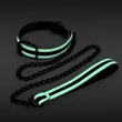 Nyakörv fém pórázzal Glo bondage collar and leash - green