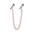 Mellcsipesz Bound - nipple clamps - dc2 - rose gold