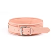 Rózsaszín műbőr nyakörv pórázzal ezüst lánccal Pink organosilicon collar with leash