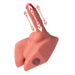 Férfi torzó maszturbátor Michael ass masturbator and dildo thrusting