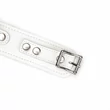 Nyakörv pórázzal Fuji white collar with leash