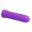Mini vibrátor tölthető Pretty Love Blanche purple II