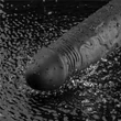 Realisztikus tölthető vízálló vibrátor 24 cm - 9.5" Real Softee Rechargeable Vibrating Dildo (fekete)