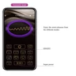 Applikációs vibrációs gésagolyó Pretty Love Elvira purple II