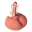 Férfi torzó maszturbátor Honey ass masturbator and dildo thrusting