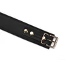 Fekete műbőr nyakörv pórázzal arany lánccal Black organosilicon collar with leash