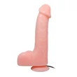 Távirányítós tapadókorongos vibrátor Baile barbara 22 cm
