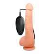 Tapadókorongos pénisz formájú vibrátor Baile skin bonny 25 cm