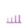 Wellness dilator kit purple