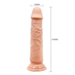Tapadótalpas műpénisz 21 cm Barbara Calvin 8,3 " Dildo with Suction Cup