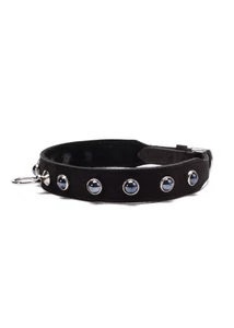 Octane crystal collar black