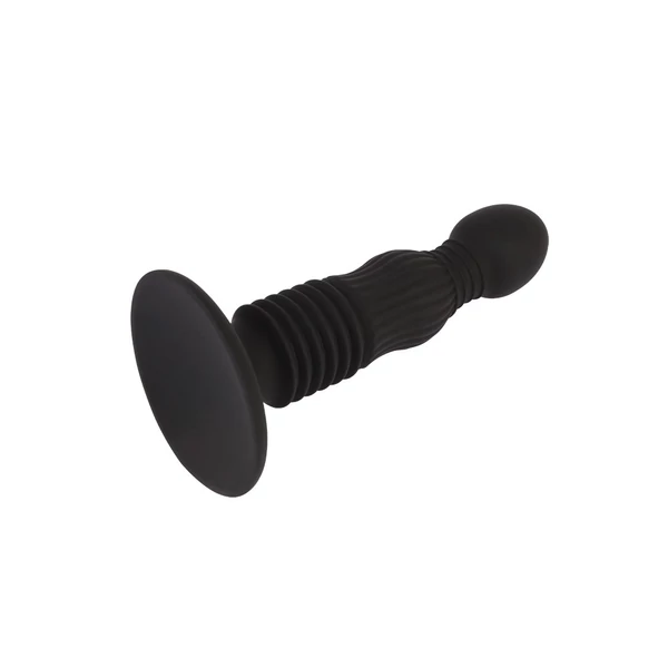 Análdugó 5.5'' anal delight controller